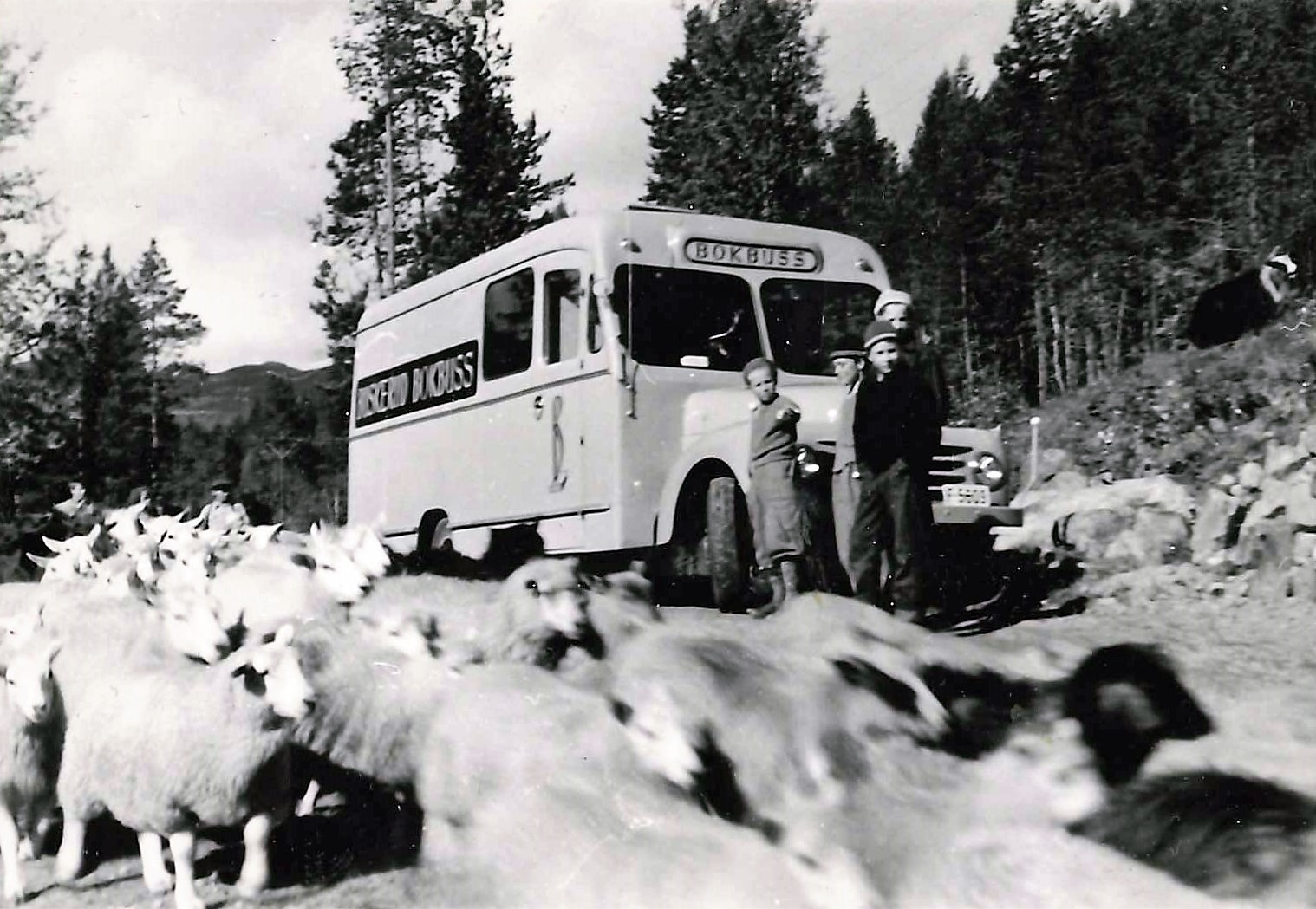 Sauer og barn i forgrunnen for bokbussen, Uvdal 1952