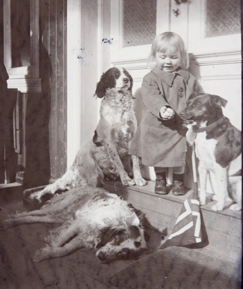Liten jente står ved en dør med tre hunder ved siden av seg, en av dem ligger. Jenta holder norsk flagg. Svart hvitt bilde.